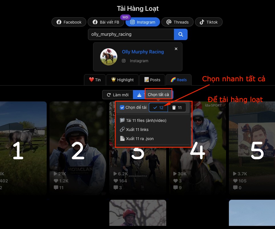 FB AIO - Sửa lỗi thiếu dữ liệu IG ✅ – hình 2