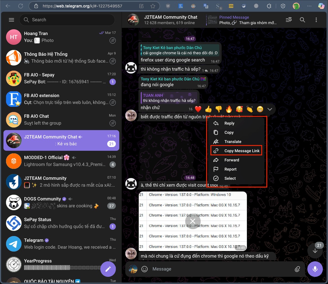 Telegram: Xem tin nhắn đầu tiên của bất kỳ đoạn chat nào 👀 – hình 2